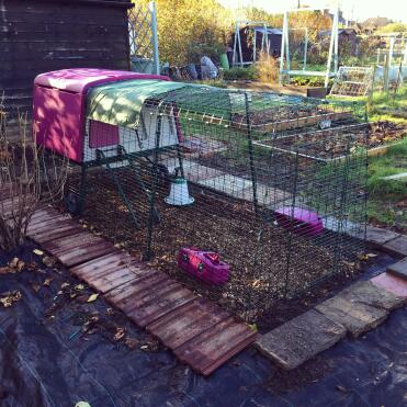 Alles bereit für die mädchen 