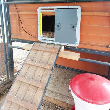 I love my Omlet door.  It fit my wooden coop well. 