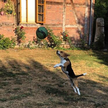 What a great day to play!