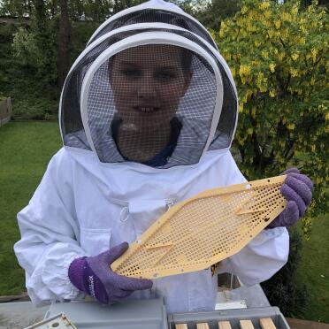 Bee escape