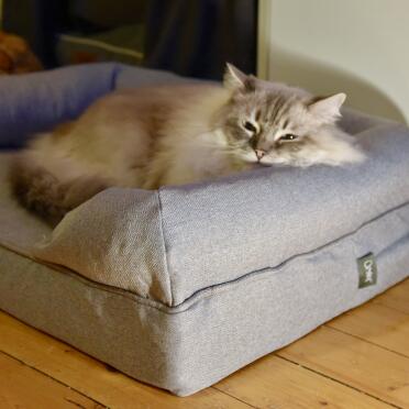 Cat Laying on Grey Bolster Bed for Cats