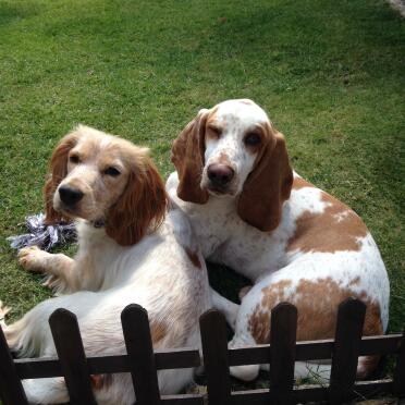 What a nice spot to sunbathe!