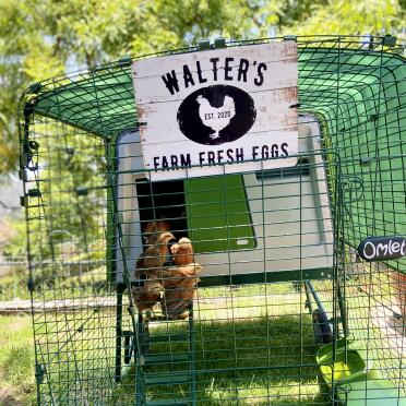 We love our Omlet chicken coop!