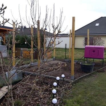 Purple Eglu Cube Large Chicken Coop in Garden