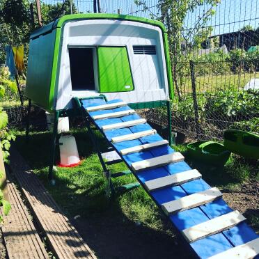 Eglu with custom ramp 
