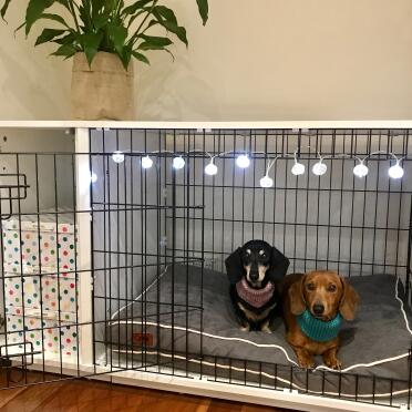 Meinst du, du könntest uns unser abendessen bringen, mama, wir fühlen uns hier ganz wohl!