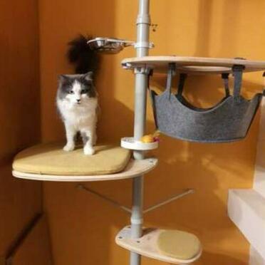 A nice lookout spot