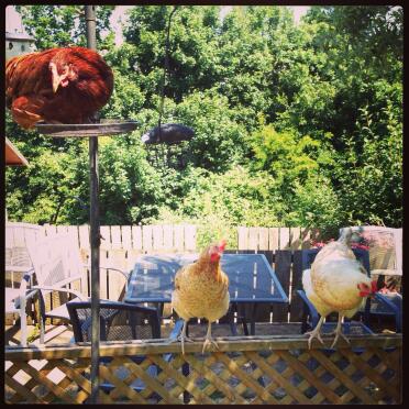 Gettings a birds eye view