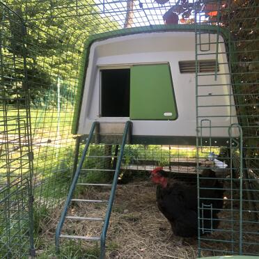 Omlet Green Eglu Cube Large Chicken Coop and Run