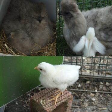 What a great first time mum!