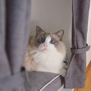 What a cosy spot!