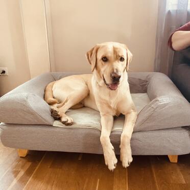 A comfortable place besides the family
