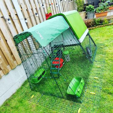 New cluckingham palace ready to receive new chickens