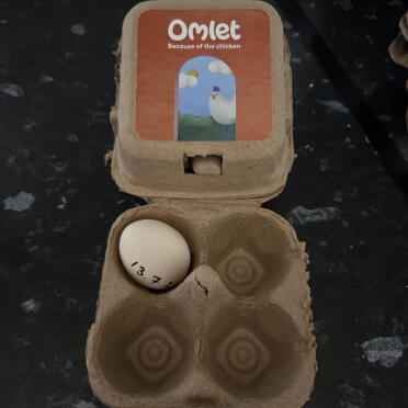 Vårt första bantamägg i vår ” Eglu ” Cube Omlet 😘🐔