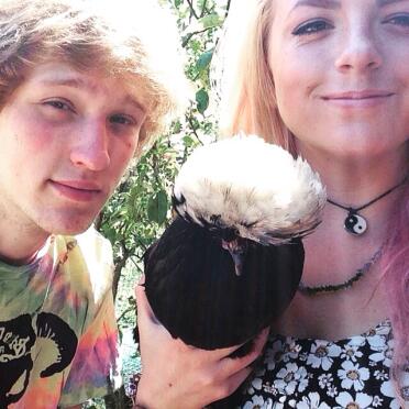 Unser kleines Afro-Huhn