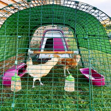 The cover protects your chickens from the rain