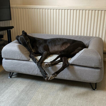 A favourite place to rest