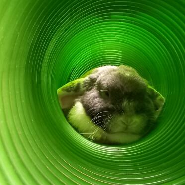 Great hiding spot !