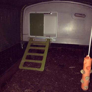 We brought our automatic door a couple of months ago and have just fitted it, brilliant! Nice and easy and fits perfectly to our Omlet Cube Mrk1, would throughly recommend.