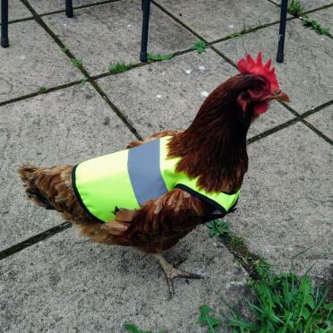 A very smart high-vis jacket!