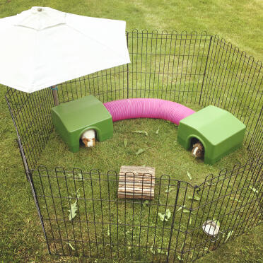 Two guinea pig shelters connected by a rabbit tunnel.