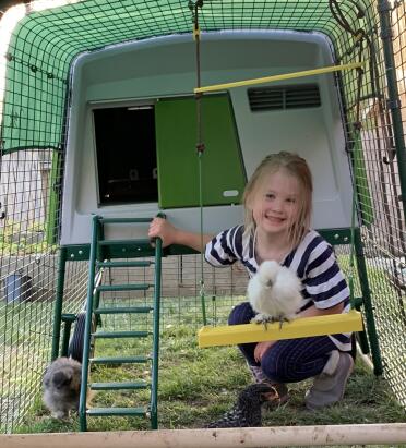 Our silkie chicken having fun on the Omlet chicken swing.