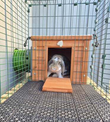 Billie in her house, Sweden