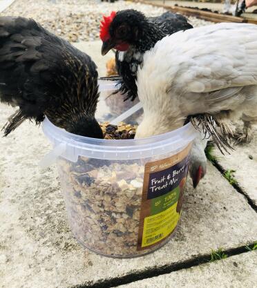 “We just gonna help ourselves mum” 