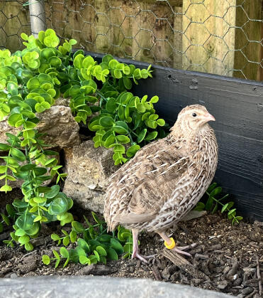 Bereit für den frühling!