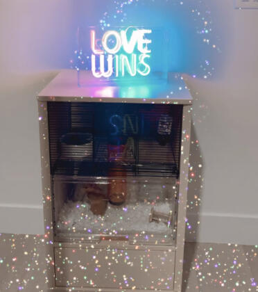 I love this cage!