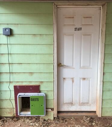 Guest house!