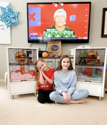 My girls LOVE their new hamster cages and hamsters!!!