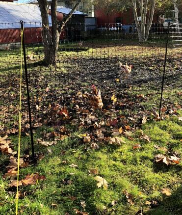 The fencing offers flexibility in your garden