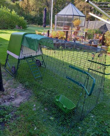 I finally Got the nice chicken coop, which is now waiting for 3 black wood hens to arrive.
