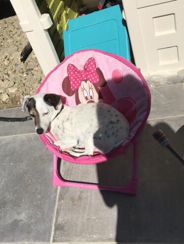 Tanning 