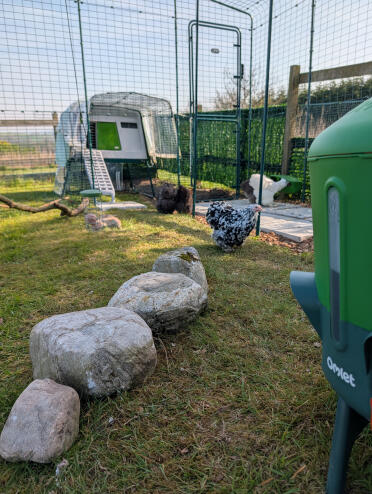 Just waiting for the feeder to restock! ❤️