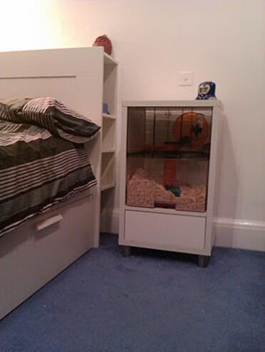 Qute neben dem bett