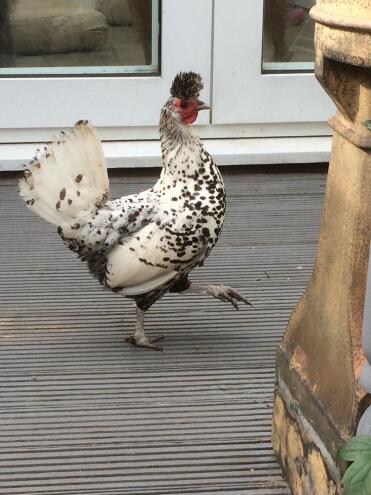 Unser Penelope Boxenstopp