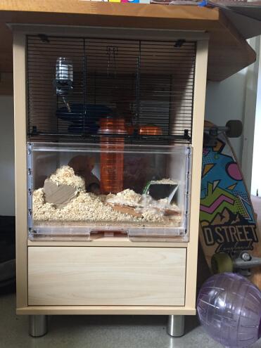 So Good we built it into our son’s desk. two years old now and still looks great