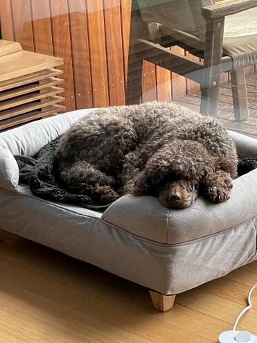 Dogs love the bolster to rest their heads
