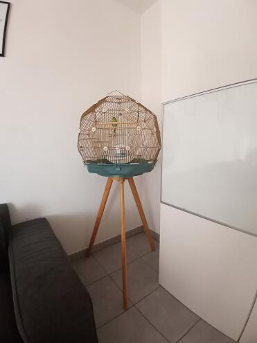 A timeless design that complements any interior