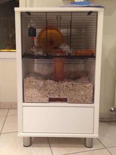 Unsere beiden rennmäuse lieben