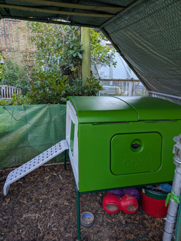 A new home for my chooks