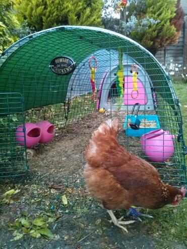 Hilda mit ihrem rosa Eglu