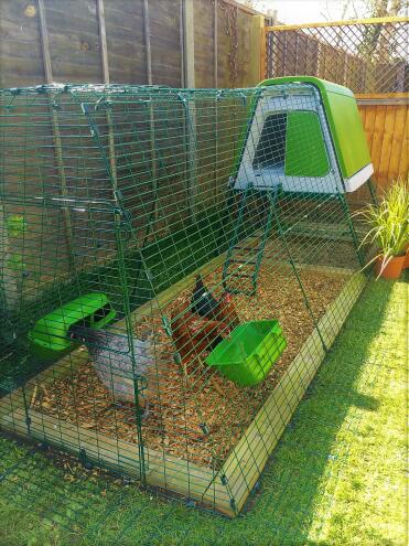 Die sich glücklich in ihrem neuen zuhause einrichten.