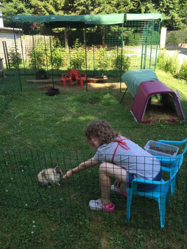 Fröhliche sommertage im safaripark Omlet 