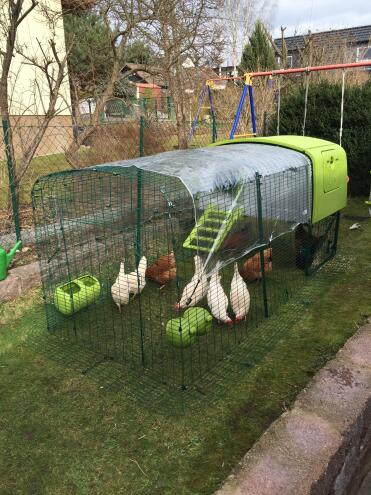 Unser neuer omlet Stall