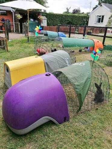 Jasper's bunny hotel con 7 Omlets!