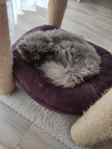 A cosy place to rest