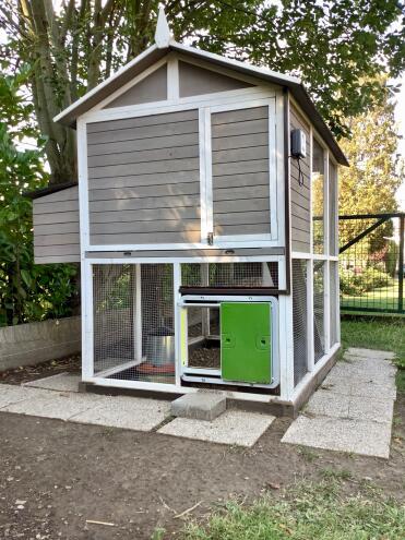 A wooden coop with an Omlet automatic door opener attached.